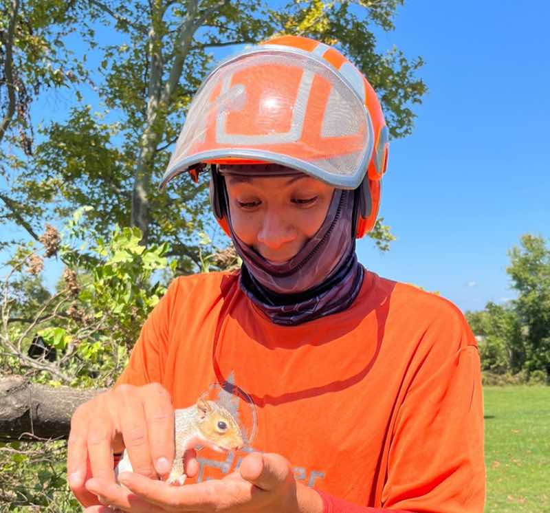 Edwin holding a baby squirrel rescued on a job site