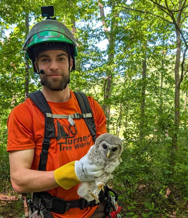 Ian Turner in climbing gear holding a rescued baby owl