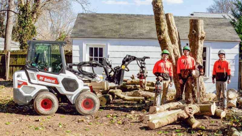 The Turner Tree Works crew in orange hoodies beside a Bobcat loader and a removed tree